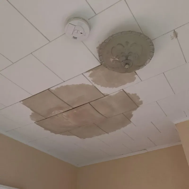 Ceiling Water Damage Repair in Wister, OK