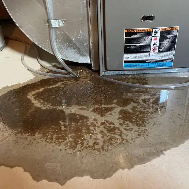 Pipe Burst and Leak Restoration in Wister, OK