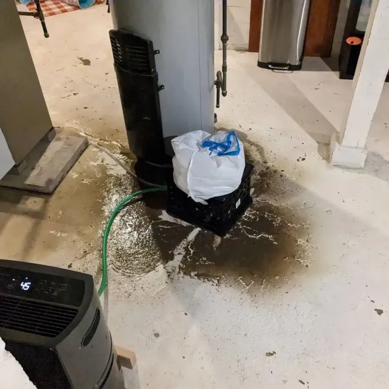 Sewage Backup Cleanup Service in Wister, OK